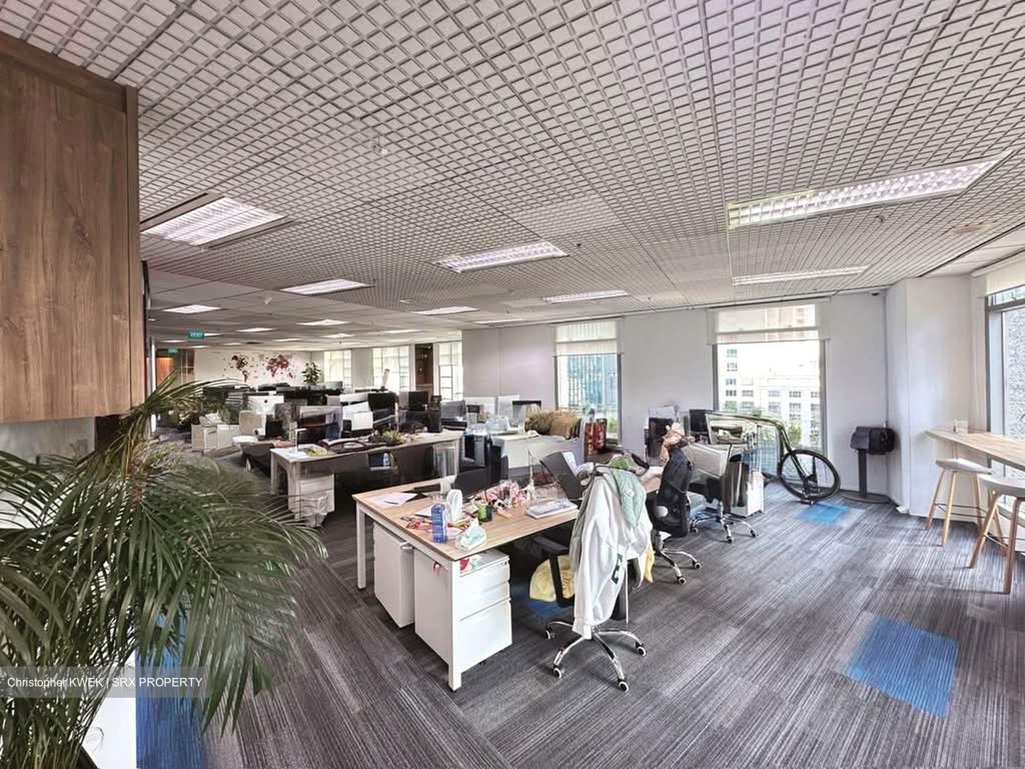 Bugis Junction (D7), Office #594825251